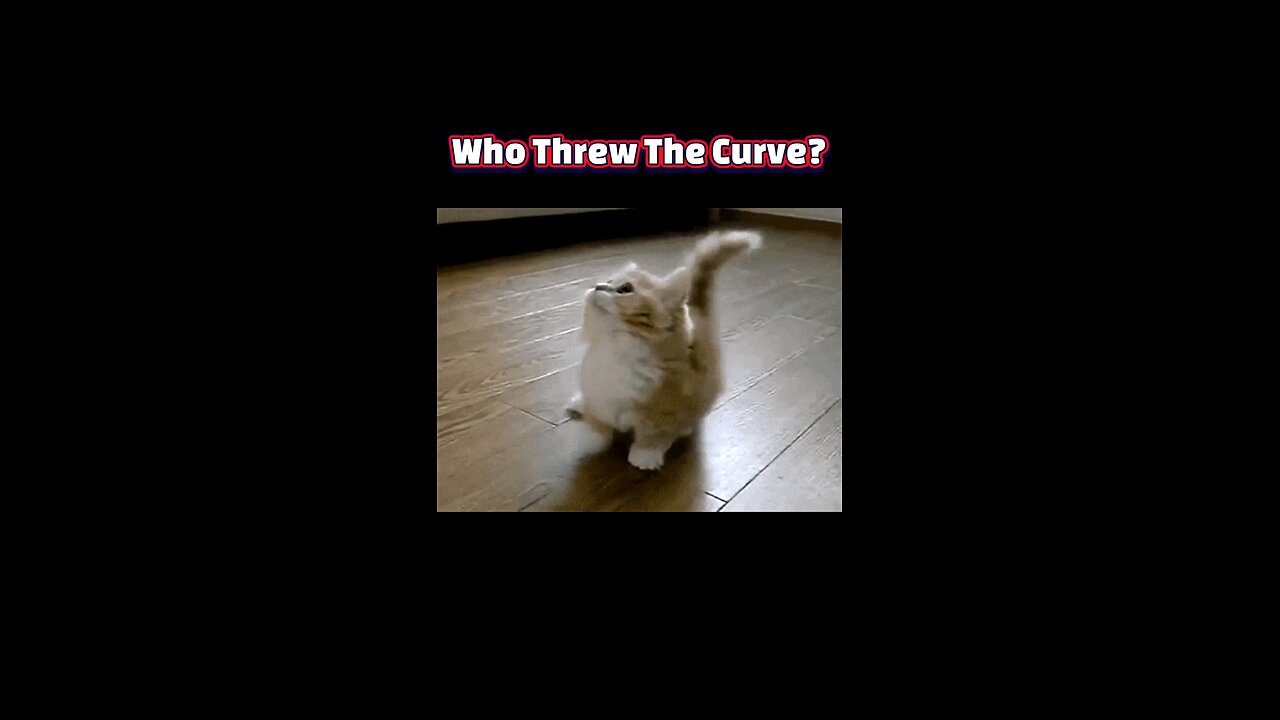 Butts Up, Trust Up: The Secret Feline Signal