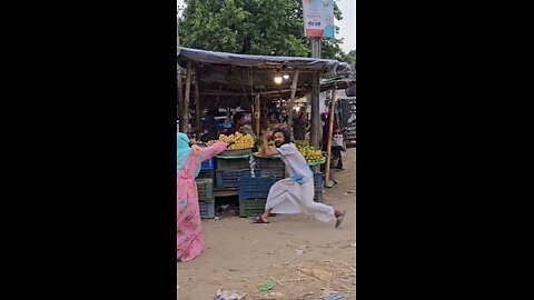 funny videos