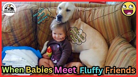 🐶 When Babies Meet Fluffy Friends Cute Compilation 💞