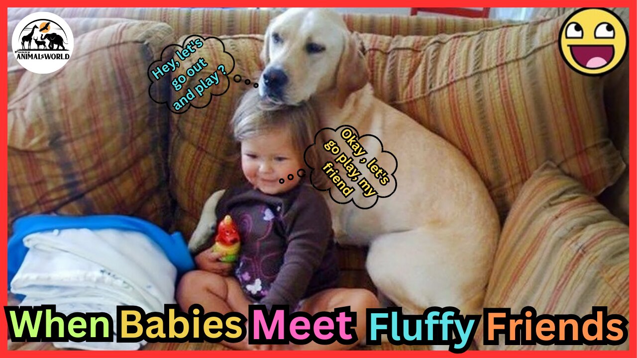 🐶 When Babies Meet Fluffy Friends Cute Compilation 💞