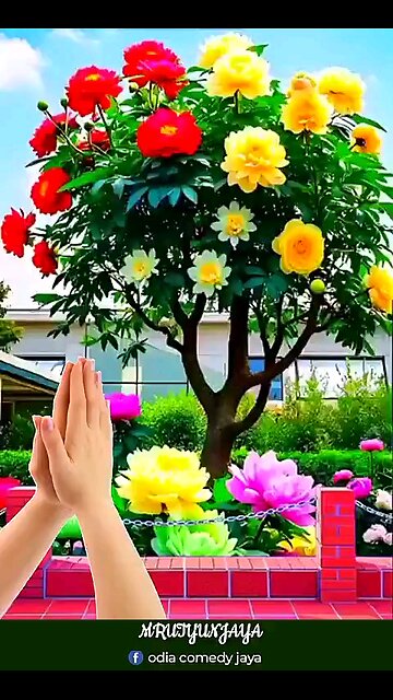 ‼️मंगलवार सुबह आपको प्रणाम🙏 आज का दिन आपका मंगलमय होगा ‼️