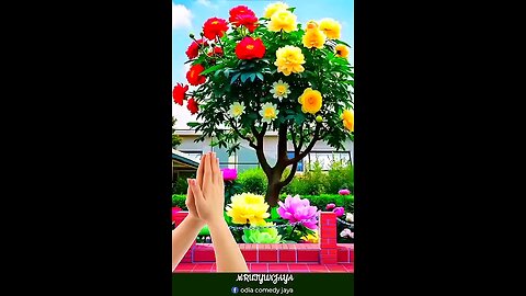 ‼️मंगलवार सुबह आपको प्रणाम🙏 आज का दिन आपका मंगलमय होगा ‼️