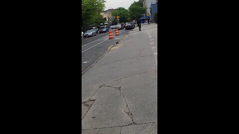 The NY Predators Dept officers using their civilian criminal cult to poison my daughter.