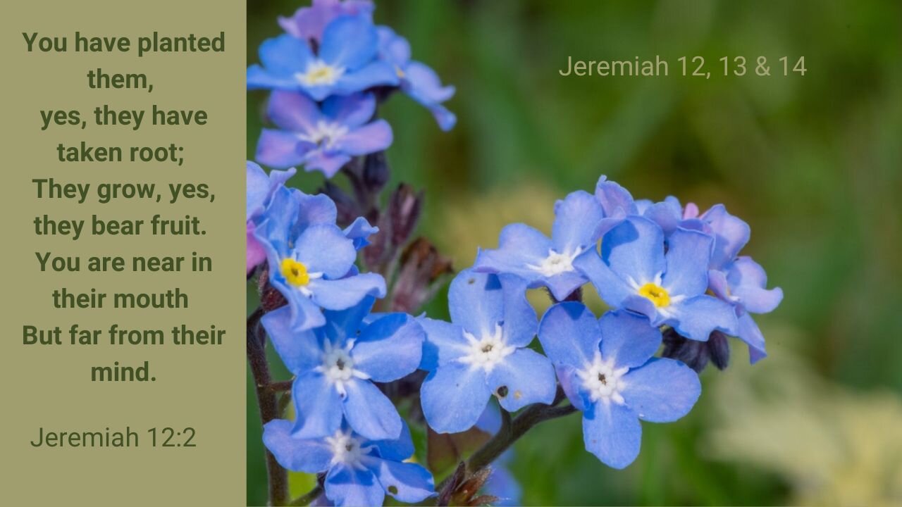 Jeremiah 12, 13 & 14 : Don't Believe False Prophets