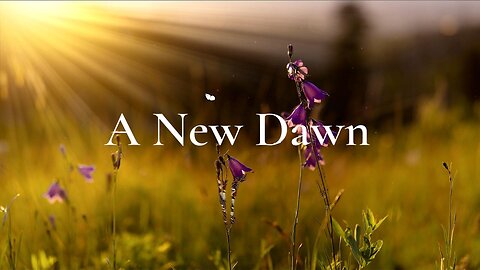 A New Dawn