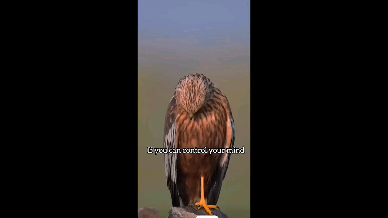 reality