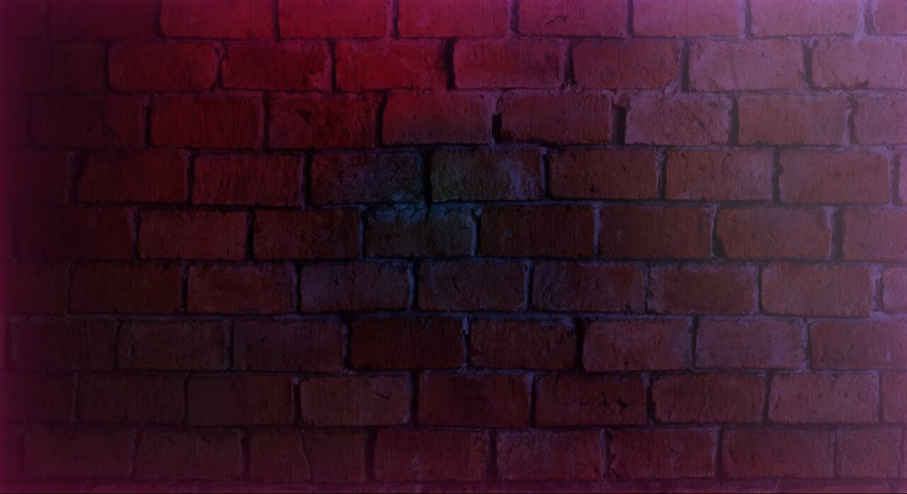 Freddy Debunks Your Conspiracies - Answers All Your Concerns - The Bear Brings The Truth