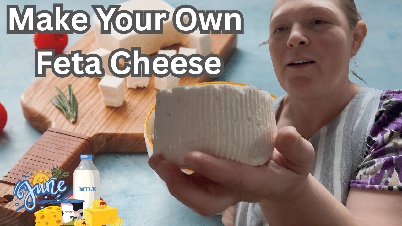 How to Make Homemade Feta Cheese | Easy Goat Milk Recipe for Beginners