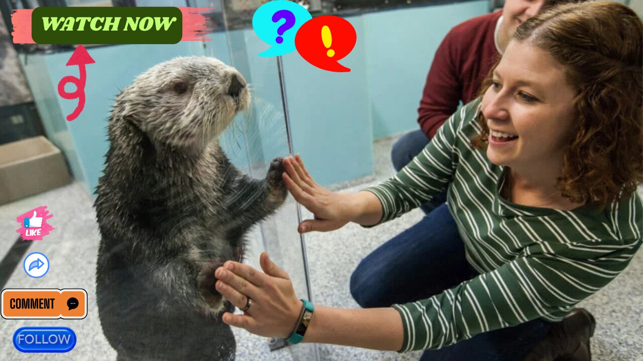 🤫 Keeper’s SECRET "High-Five Pact" With Adorable Otter. global-headlines-today-plus