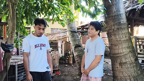 Jemark Visits Jeffrey: Rooster Conditioning at Ariel's Place!