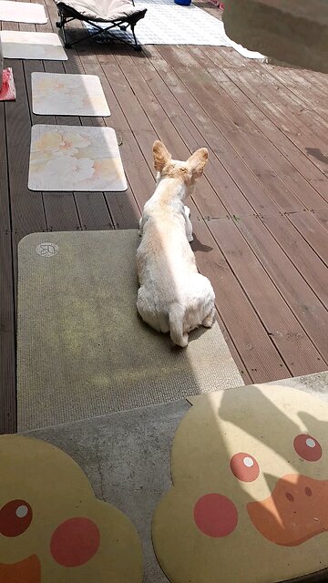 20250628. God is Love.