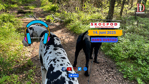 Skogpod 14. juni 2025