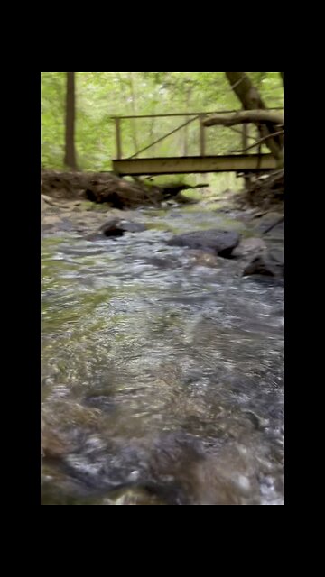 Anderson Run Natural Area! #yeshua #jesus #hiking #nature #trail #hikingtrail #naturetrail