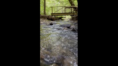 Anderson Run Natural Area! #yeshua #jesus #hiking #nature #trail #hikingtrail #naturetrail