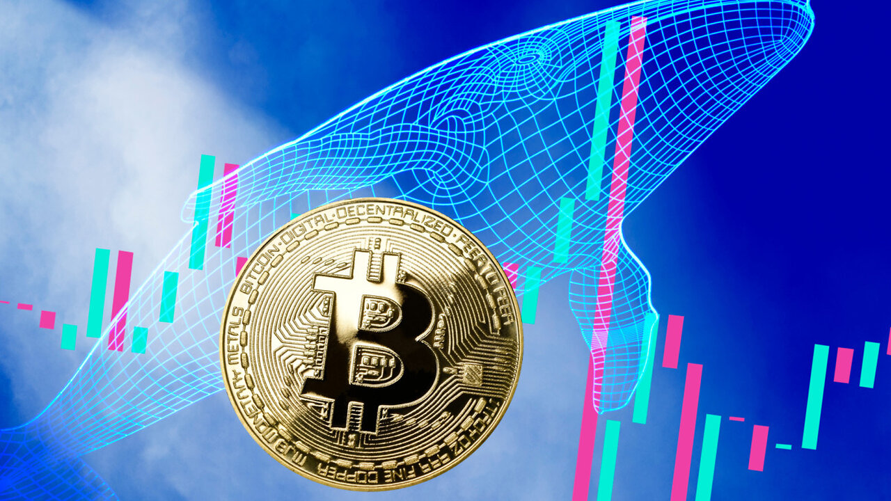 ⚠️ BITCOIN: This Is a Trap! (Here’s Why) ⚠️