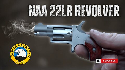 Can a Thumb-Sized .22 Actually Hit Steel?