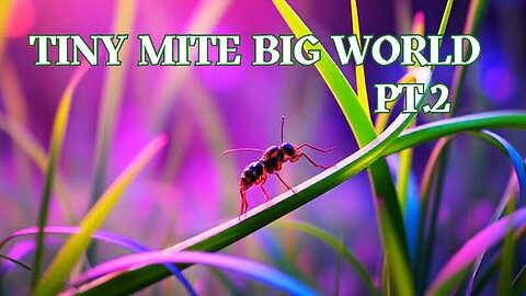 A Toddler Song About a Mite and Nature - Tiny Mite, Big World Pt.2!