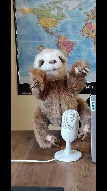 zelensky to meet with Kim Jung Un