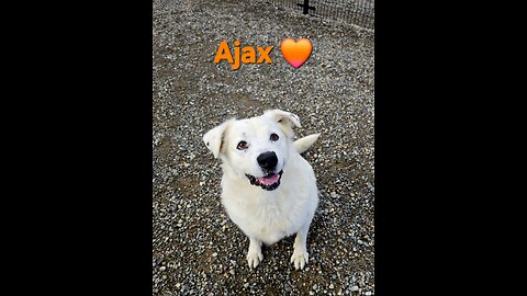 Won't you give me a second chance?