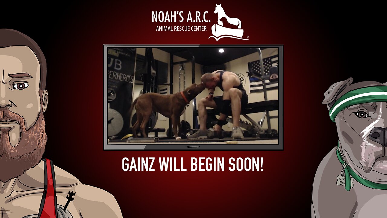 Gym Session w/Fin Fin [Week 40] - Back & Traps // Animal Rescue Stream :)