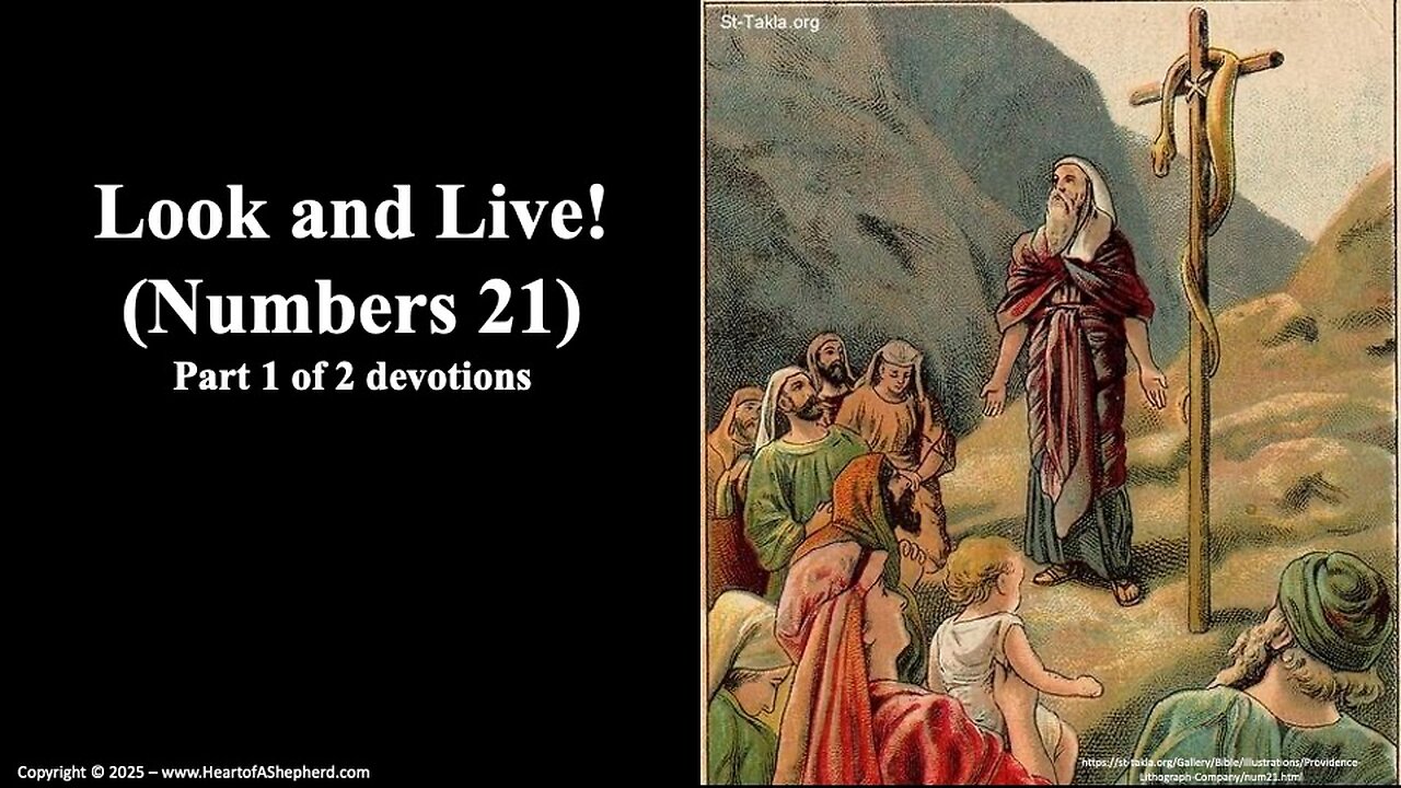 Look and Live! (Numbers 21) – A daily Bible study from www.HeartofAShepherd.com.