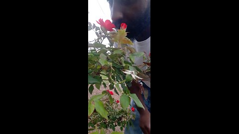 Smell the roses of life