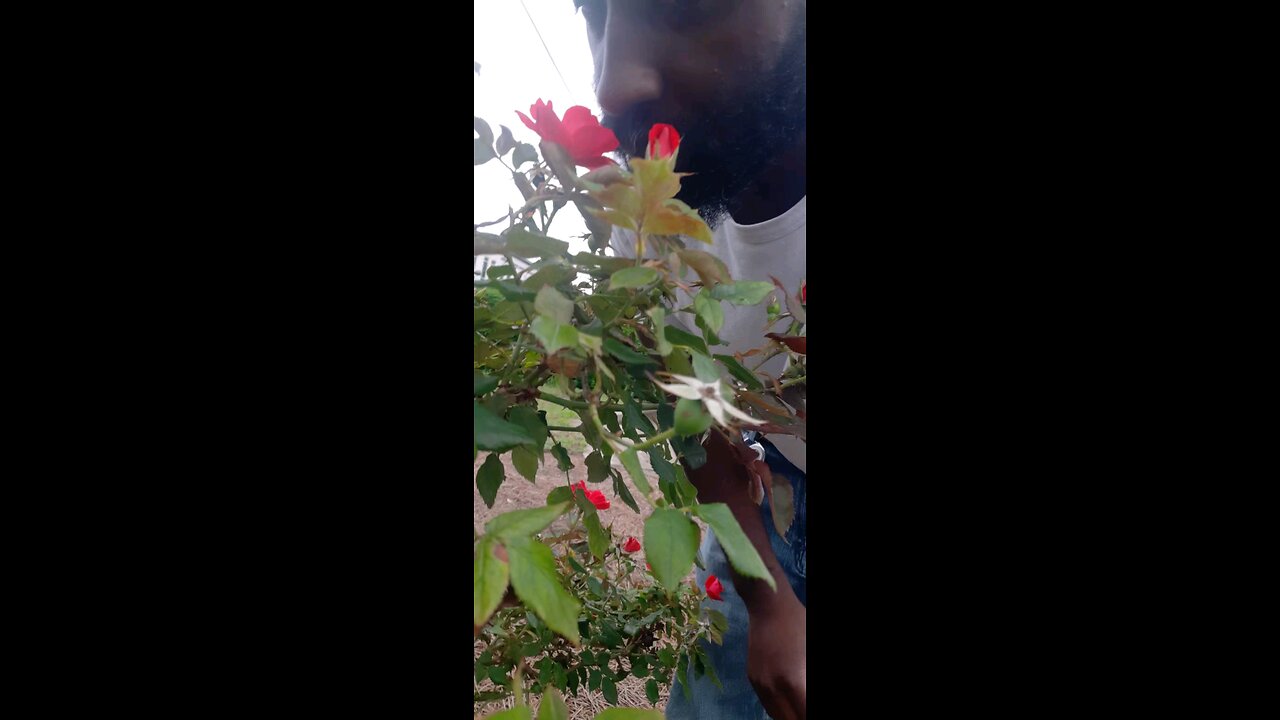 Smell the roses of life