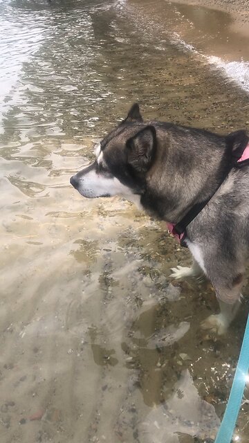 Thursday July 31, He cuts off every branch that does not produce fruit.