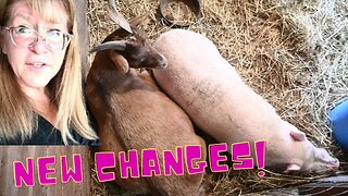 EVERYTHING Is CHANGING!