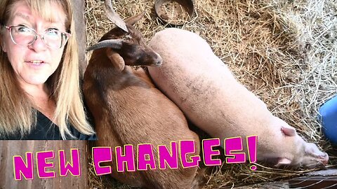 EVERYTHING Is CHANGING!