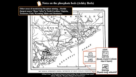 The Phosphate Beds of South Carolina (Part#2)