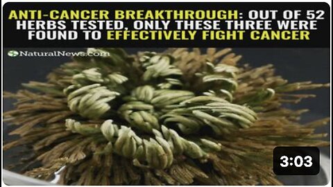 "Three Herbs Emerge as Potent Anti-Cancer Agents in Breakthrough Study of 52 Varieties"