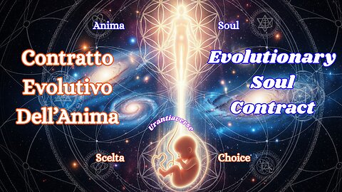 The Soul Pact: When Incarnation Becomes the Sacred Choice for Your Evolution
