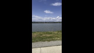 A nice day at the park