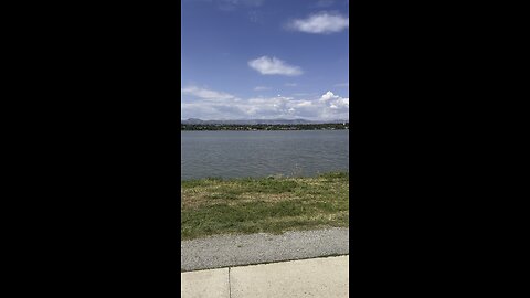 A nice day at the park