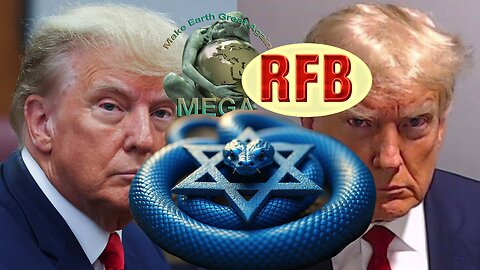 You Knew Damn Well I Was a Snake Before You Took Me In - Donald John Trump