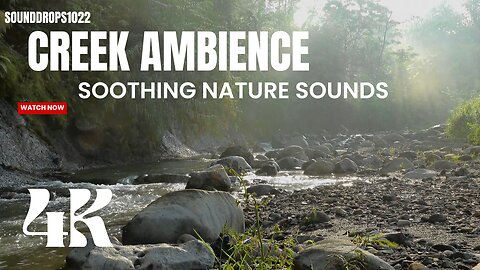 15 Minutes of Creek Ambience : Soothing Nature Sounds