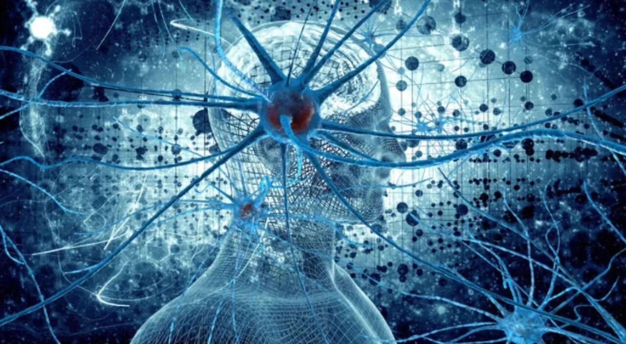 Terral03.com - Terral.Substack.com Black Star Report for 2025 Newsletter 47: Nov. 19, 2025