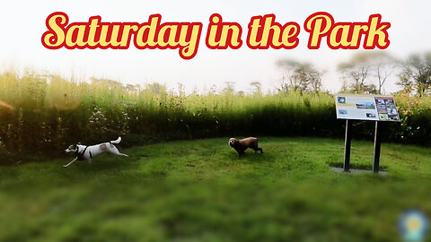 Saturday in the Park