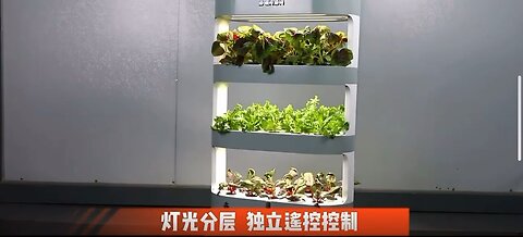 home hydroponic system
