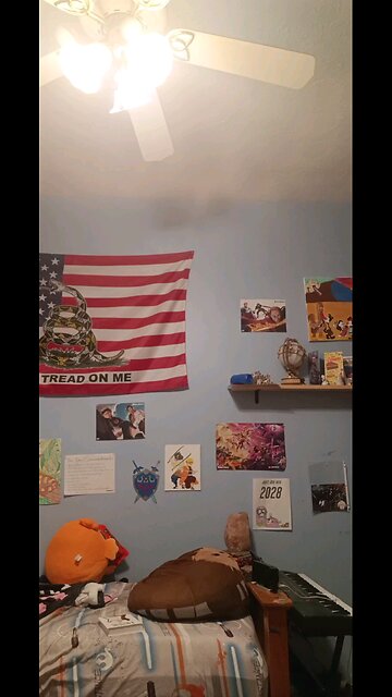 day 1 update on baby chickens