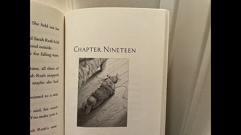 Part 10: Edward Tulane, chaps 19, 20, 21