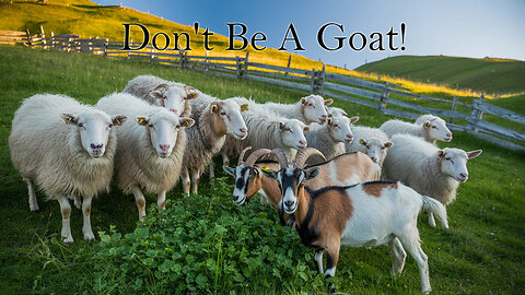 Children's Bible Stories-Don't Be A Goat!