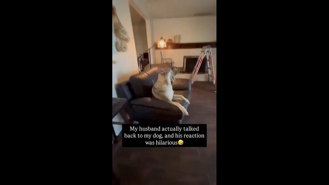 He’s like, “Did you hear that?”🥰