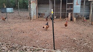 She moved herself again.