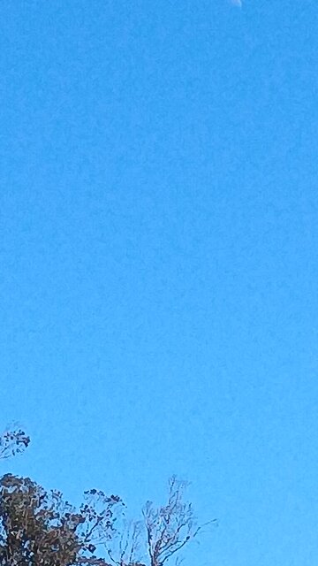 drac moon spying on humans on Gods green earth?!?