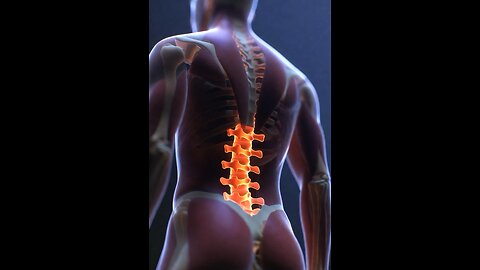 Lumber vertebrae 3D Animation #3dmedico