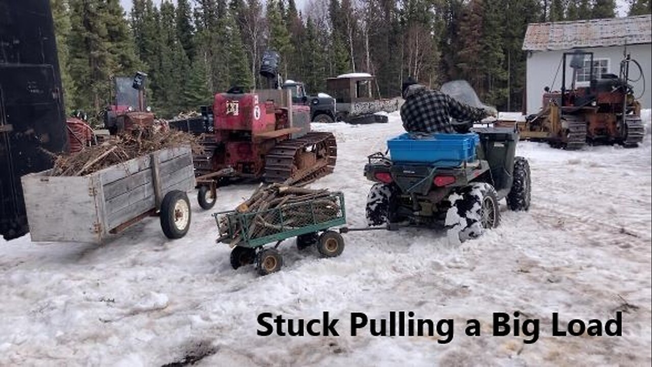 Official Sick Day in the Kingdom Apr 12 2025