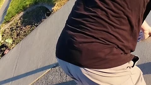 Lude crashes