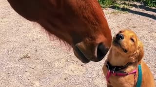 Unlikely friendship but so pure ✨